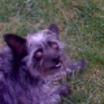 Profile Picture of peterkeeleymom (@peterkeeleymom) on Instagram