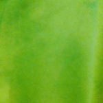 Profile Picture of Andrew bukowski (@andrew_bukowski9) on Instagram