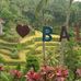 Profile Picture of Gus Jody Driver (@bali.driver.5036) on Facebook