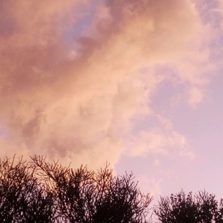 Profile Picture of Eric_Spear (@eric_spear) on Tiktok