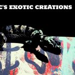 Profile Picture of Christopher Corey (@big_cs_exotic_creations) on Instagram