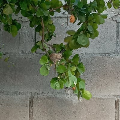 Profile Picture of Andrew Marquez (@andrewmarquez66) on Twitter