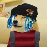 Profile Picture of Billy Pownell-Styer (@another_shitty_doge_meem_page) on Instagram