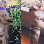 Profile Picture of Jose Moo (@Jose-Moo) on Facebook