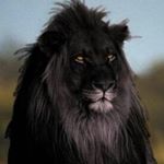 Profile Picture of Carlton Shanks (@asstight) on Instagram