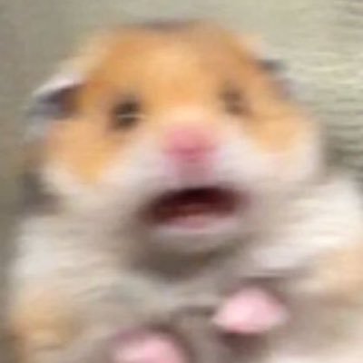 Profile Picture of 햄버거 🍔 (@Greg_Hsu_) on Twitter