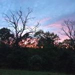 Profile Picture of Debra Keyton (@debrakeyton) on Instagram