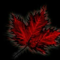 Profile Picture of Josh Cormier (@josh-cormier-19) on Quora