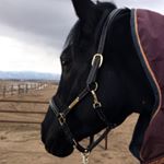 Profile Picture of Butya Kakimgali⚜️ (@kakimgali04) on Instagram