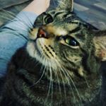 Profile Picture of Melinda Grace Tuttle (@melinda.tuttle.122112) on Instagram