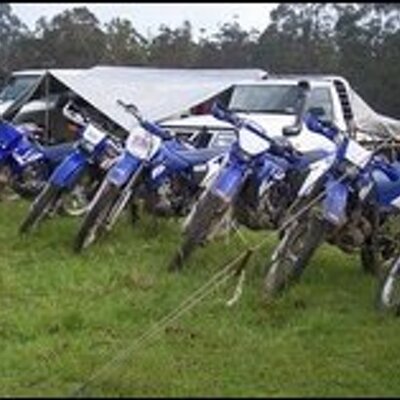 Profile Picture of Cassandra Earl (@BOBTHEPIG101) on Twitter