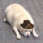 Profile Picture of Matthew Musser (@yellowbellysheriff) on Instagram