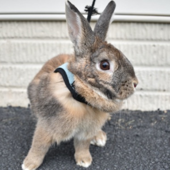 Profile Picture of Emily Speakes (@bethspeakes1) on Poshmark