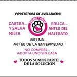 Profile Picture of Protectora Garras y Patas. (@protectoragarrasypatas) on Instagram