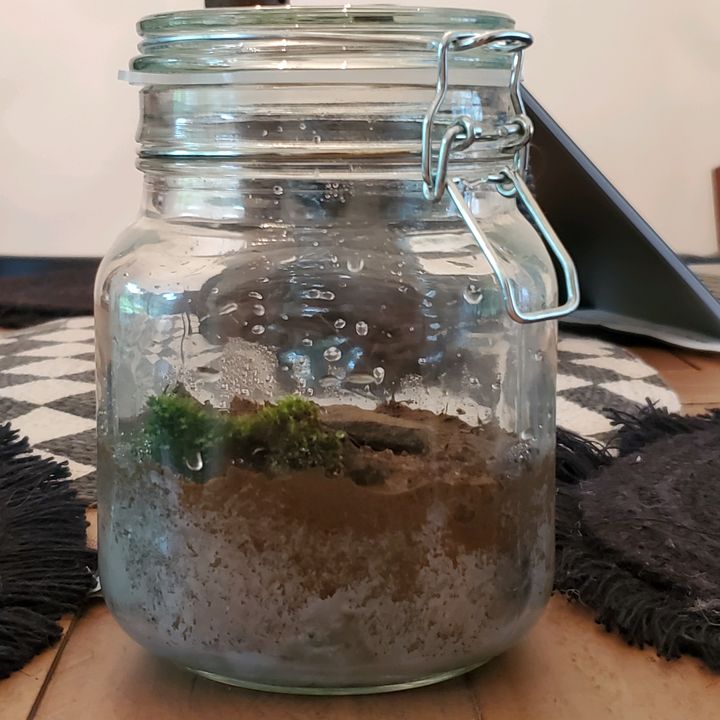 Profile Picture of Max's Worlds (@maxs_worlds) on Tiktok