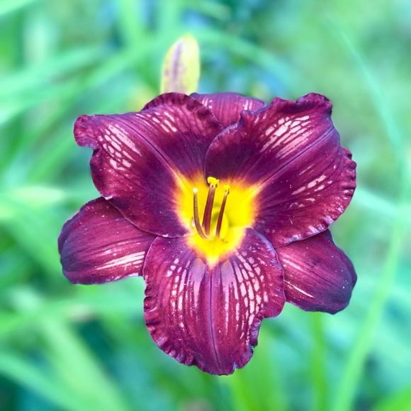 Profile Picture of Robin Parker (@bean20) on Poshmark