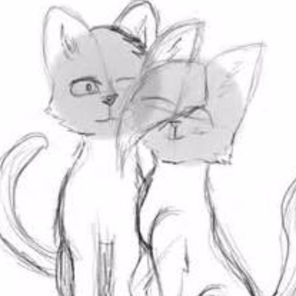 Profile Picture of Laura Evensen (@lauraeve) on Poshmark