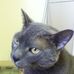 Profile Picture of Scott Towers (@scott.towers.547) on Facebook