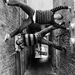 Profile Picture of Danny Froerer (@dannyfroerer) on Pinterest