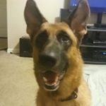 Michael Bergeron - Instagram Profile Picture of Michael Bergeron (@bergeronmichael47) on Instagram