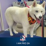 Profile Picture of Paul Trzcinski Sr. (@trzcinskisr.paul) on Instagram