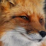 Profile Picture of Elle Jasmine Bedard (@ellebedard19) on Instagram