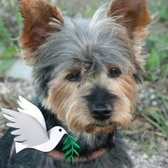 Guy Muller - Tiktok Profile Picture of Guy Muller (@guy.muller) on Tiktok