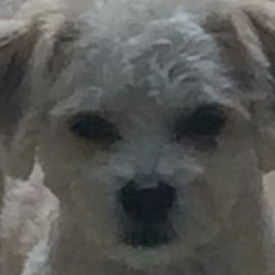 Profile Picture of Randy Duran (@randyduran2016) on Twitter