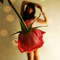 Profile Picture of Miranda Alvarado (@miranda-alvarado-6) on Quora