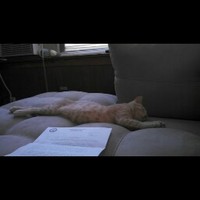 Profile Picture of Jeremy Honzell (@jeremy-honzell) on Quora