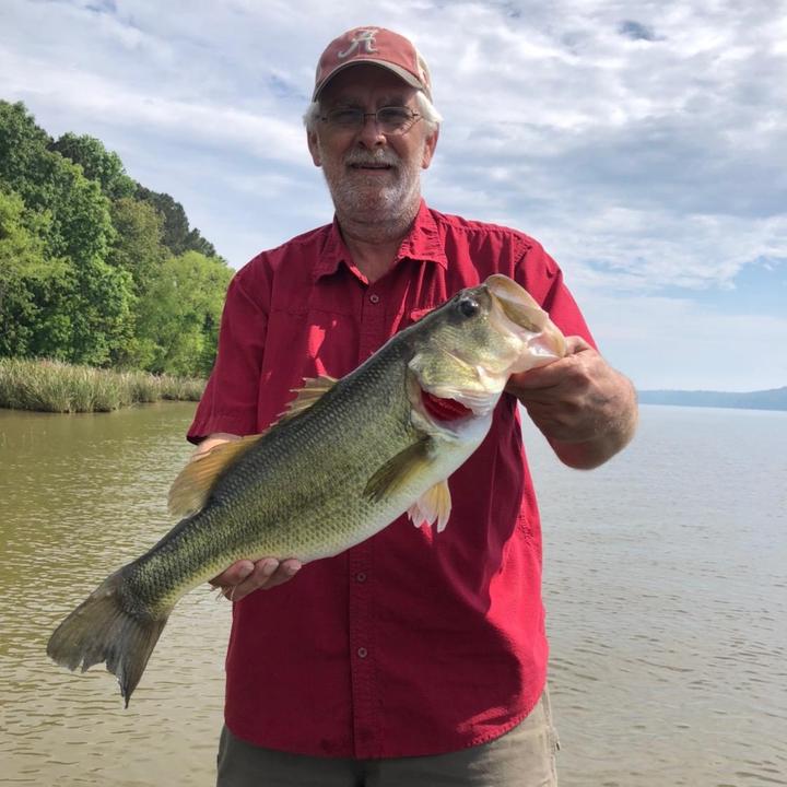 Profile Picture of stevekirkland270 (@@stevekirkland270) on Tiktok