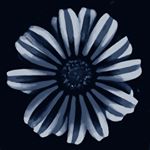 Profile Picture of Erick Hendrickson (@cajonfilm) on Instagram