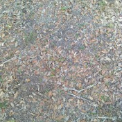 Profile Picture of Thomas Pawlik (@ThePearldrums2008) on Youtube