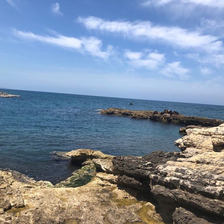 Profile Picture of Joseph (@joseph_zrw) on Tiktok