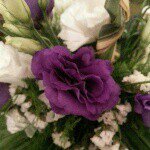 Profile Picture of simin.akhavan (@simin.akhavan) on Instagram