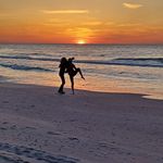 Michał Żakowski - Instagram Profile Picture of Michał Żakowski (@m_zakowski) on Instagram