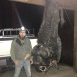 Profile Picture of Kyle Hibbard (@kyle_d_hibbard) on Instagram