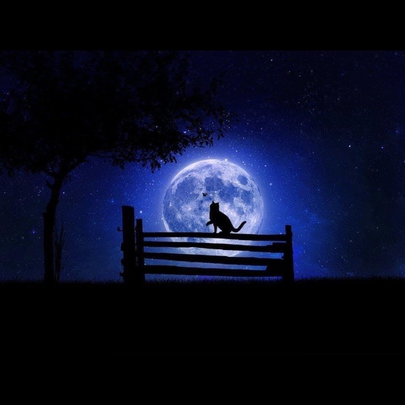 Profile Picture of Misty Ray (@m_m12403) on Poshmark