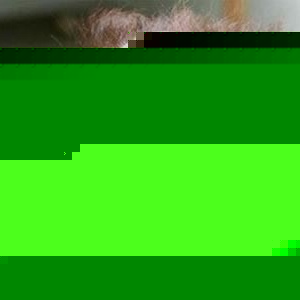 Adam Ransom - Myspace Profile Picture of Adam Ransom (@adamransomrules) on Myspace