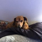 Profile Picture of Douglas B Mclellan (@douglasbmclellan) on Instagram