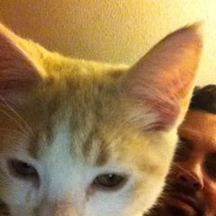 Profile Picture of David Sellers (@davidsellers7) on Tiktok