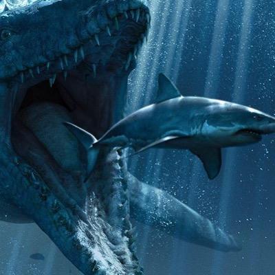 Profile Picture of Joshua Osborne (@StoatBringer) on Twitter