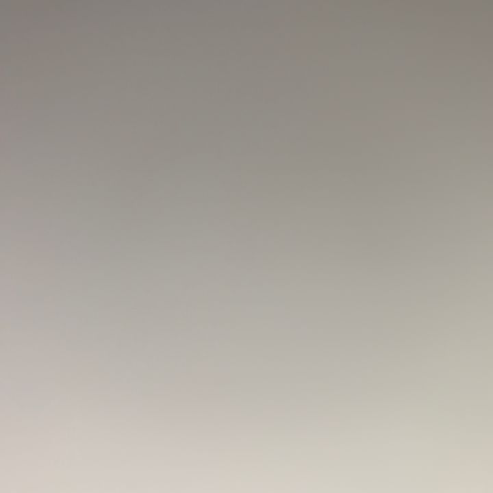 Profile Picture of david Brennicke (@davidbrennicke) on Tiktok