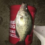 Profile Picture of Jason Broeckel (@jason.broeckel.7) on Facebook