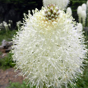 Profile Picture of Emily Mitchell (@emilymitchell6288) on Youtube