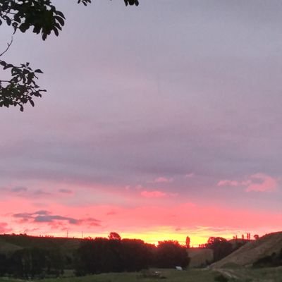 Profile Picture of Zane Campbell (@ZaneCam50358406) on Twitter