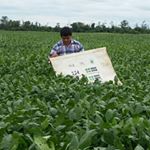 Profile Picture of Ramon Elias Mancilla (@ramoneliasromero) on Instagram