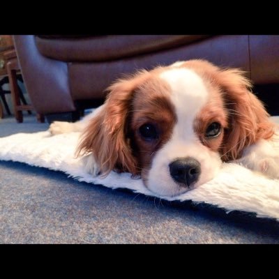 Profile Picture of Jonathan Mcclelland (@jon2004mac) on Twitter