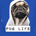 Profile Picture of Jason Devault (@sloth_snipez) on Instagram