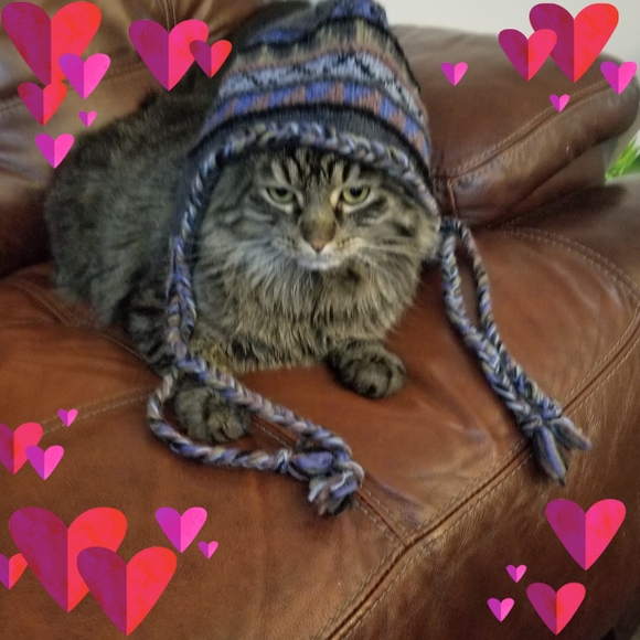 Profile Picture of Sue Hesemann (@5rheanna) on Poshmark